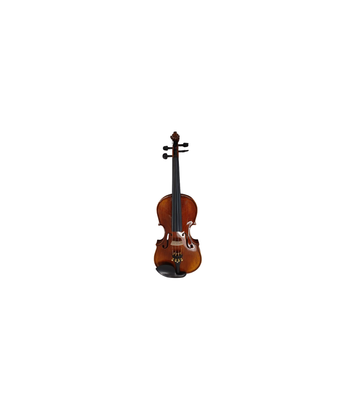 Karl Hoffmeister MV400-1 Solist Plus Vioara 4/4 [1]