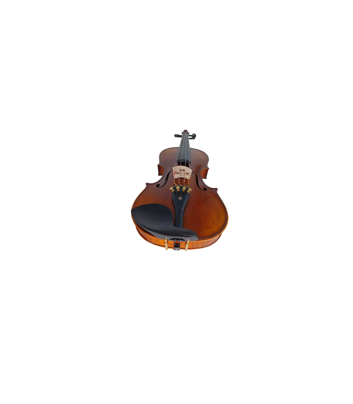 Karl Hoffmeister MV400-1 Solist Plus Vioara 4/4 [4]