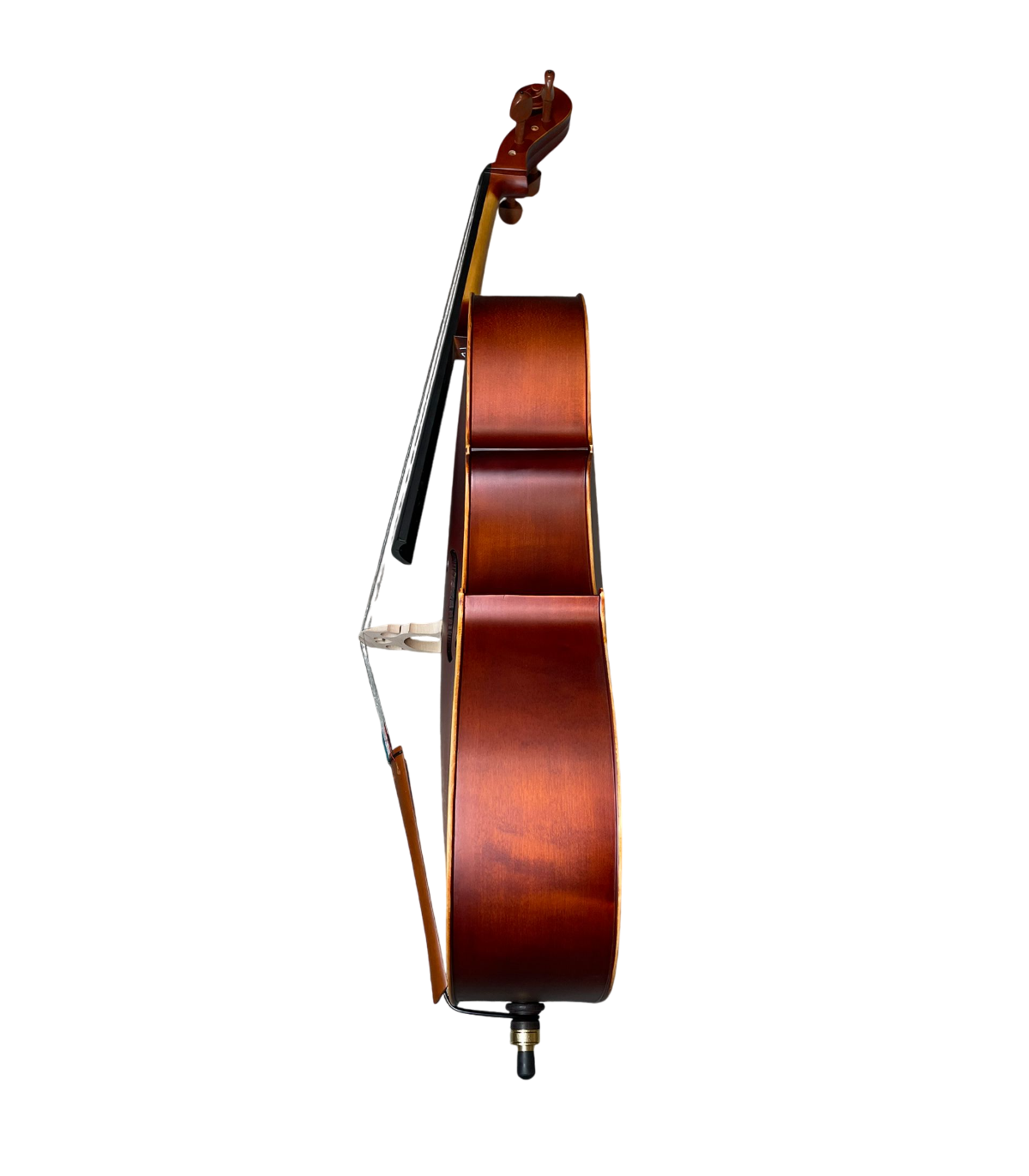 Karl Hoffmeister MC 761B Violoncel 4/4 [2]