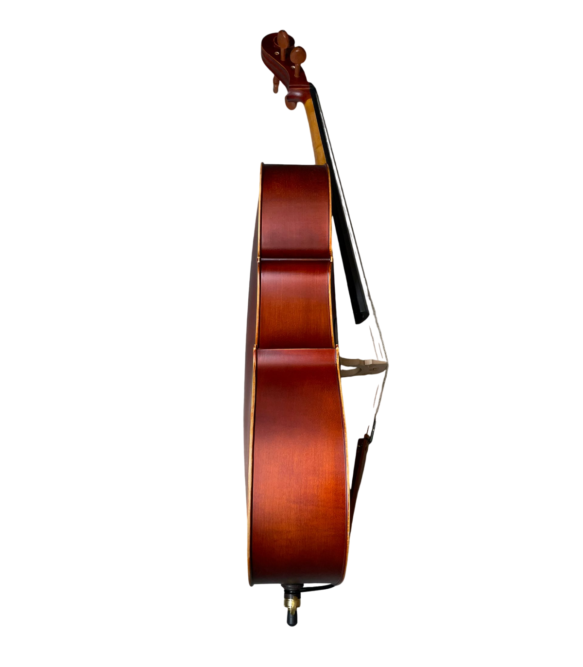 Karl Hoffmeister MC 761B Violoncel 4/4 [3]