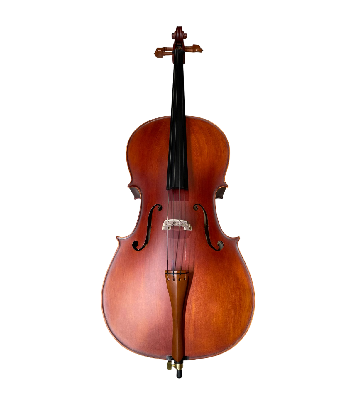 Karl Hoffmeister MC 761B Violoncel 4/4 [1]
