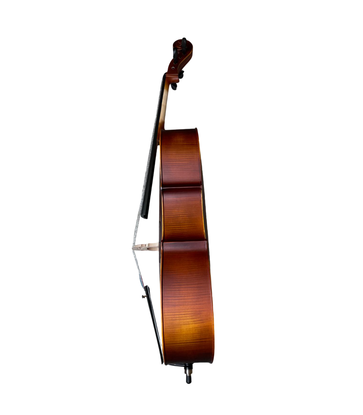 Karl Hoffmeister MC 864L Violoncel 4/4 [2]