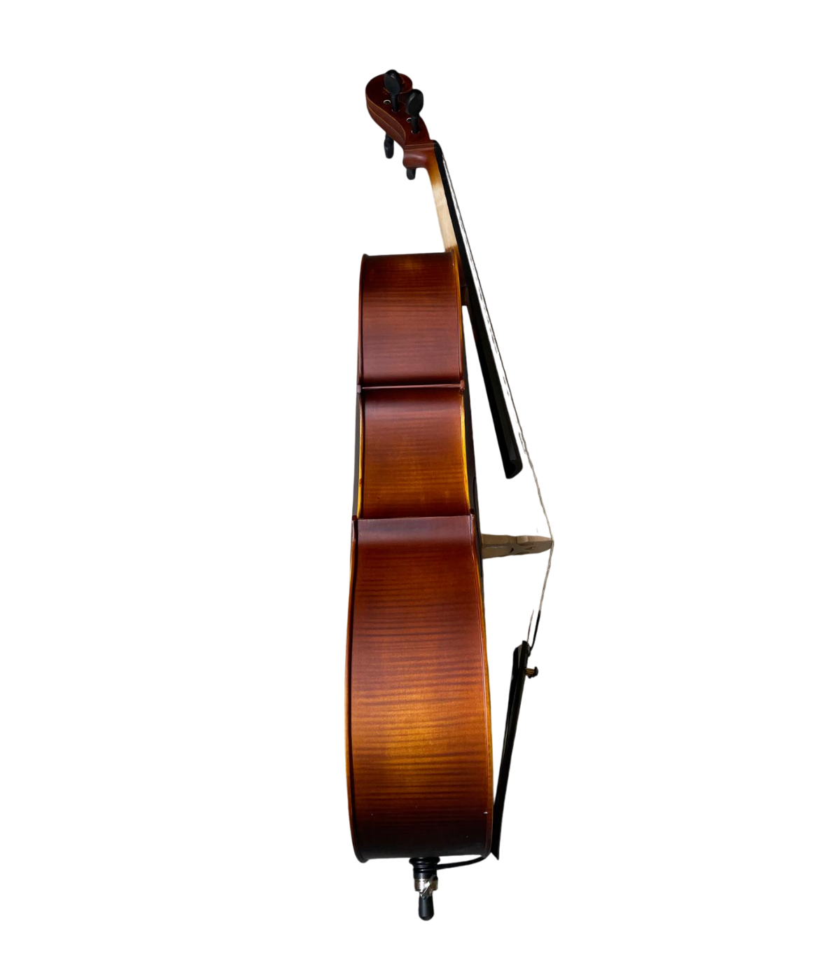 Karl Hoffmeister MC 864L Violoncel 4/4 [3]