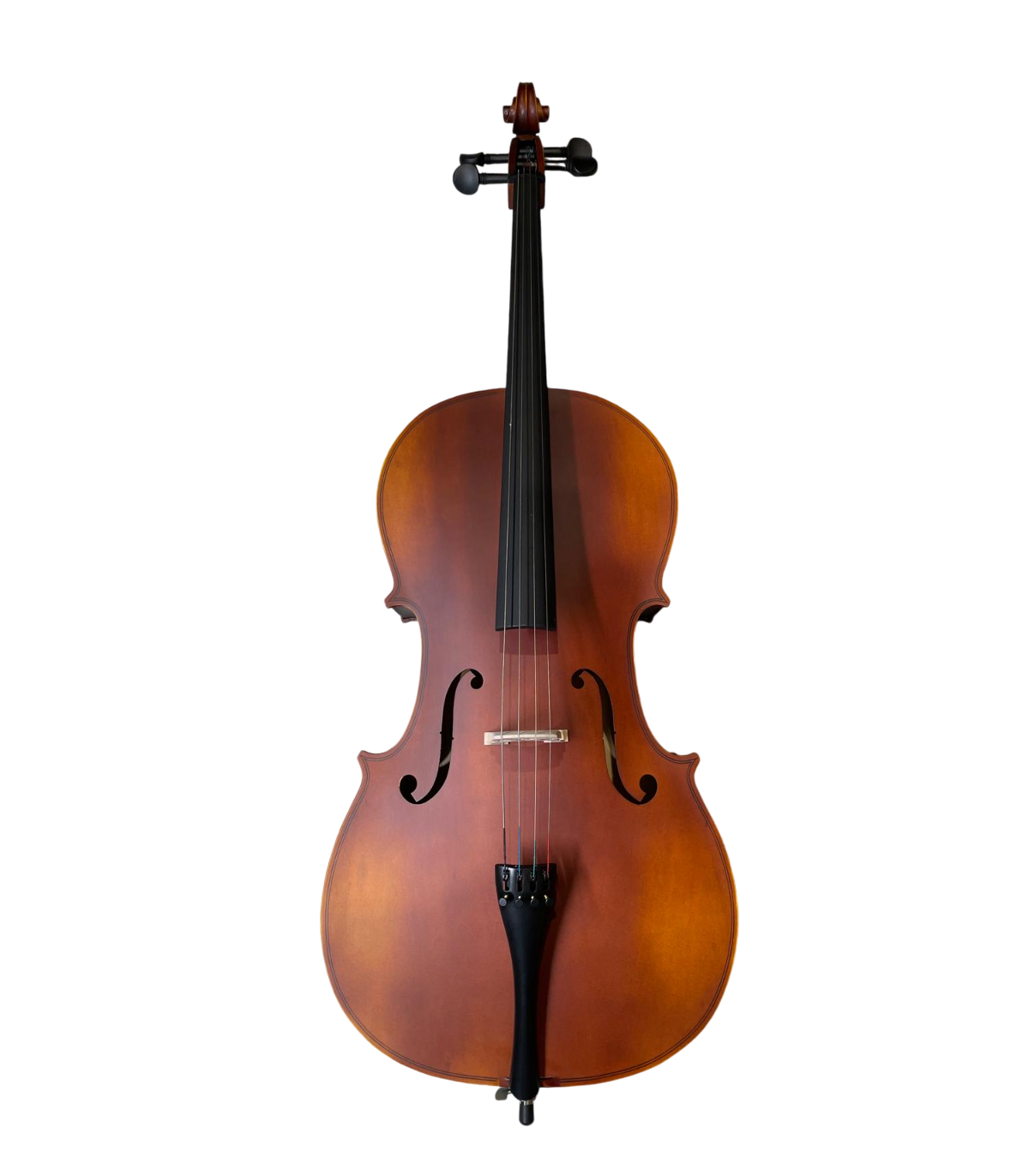 Karl Hoffmeister MC 864L Violoncel 4/4 [1]