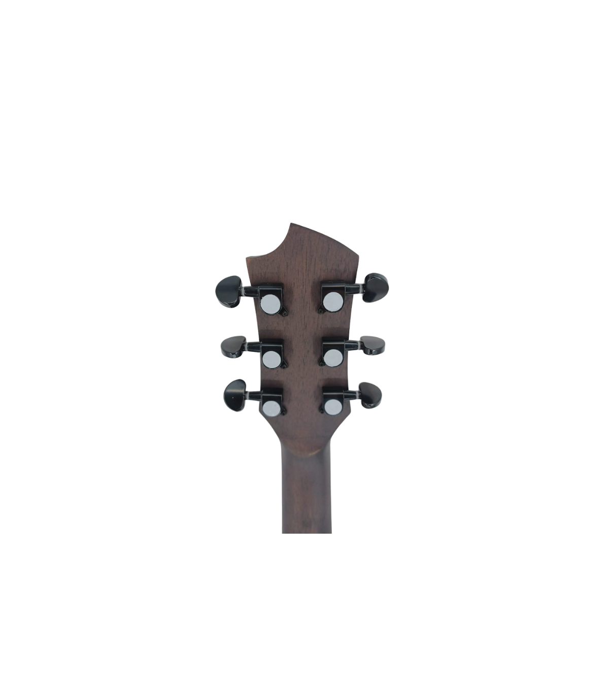 Flame FG168-41 [5]