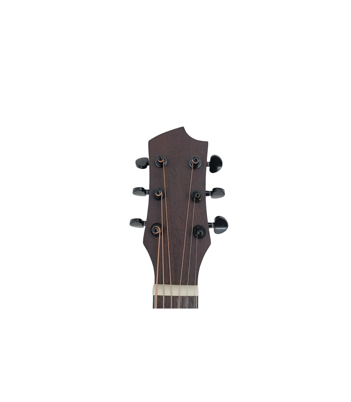 Flame FG168-41 [6]