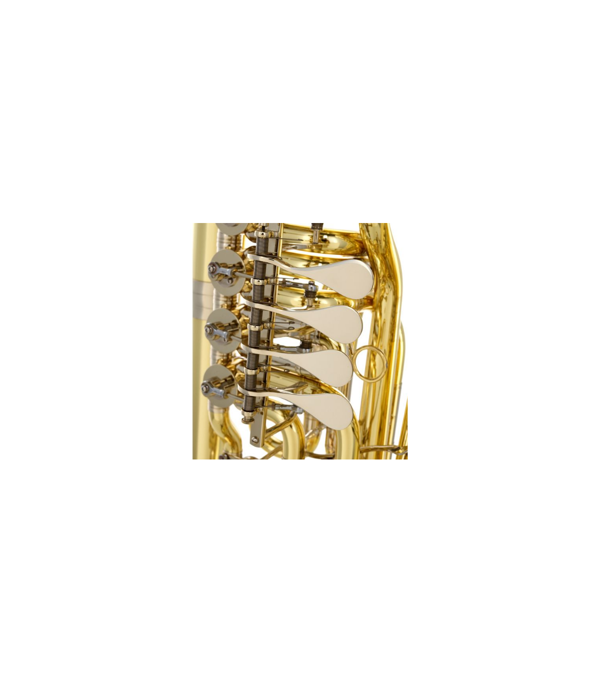 B&S 3099/2/W-L (PT-10) F-Tuba [5]