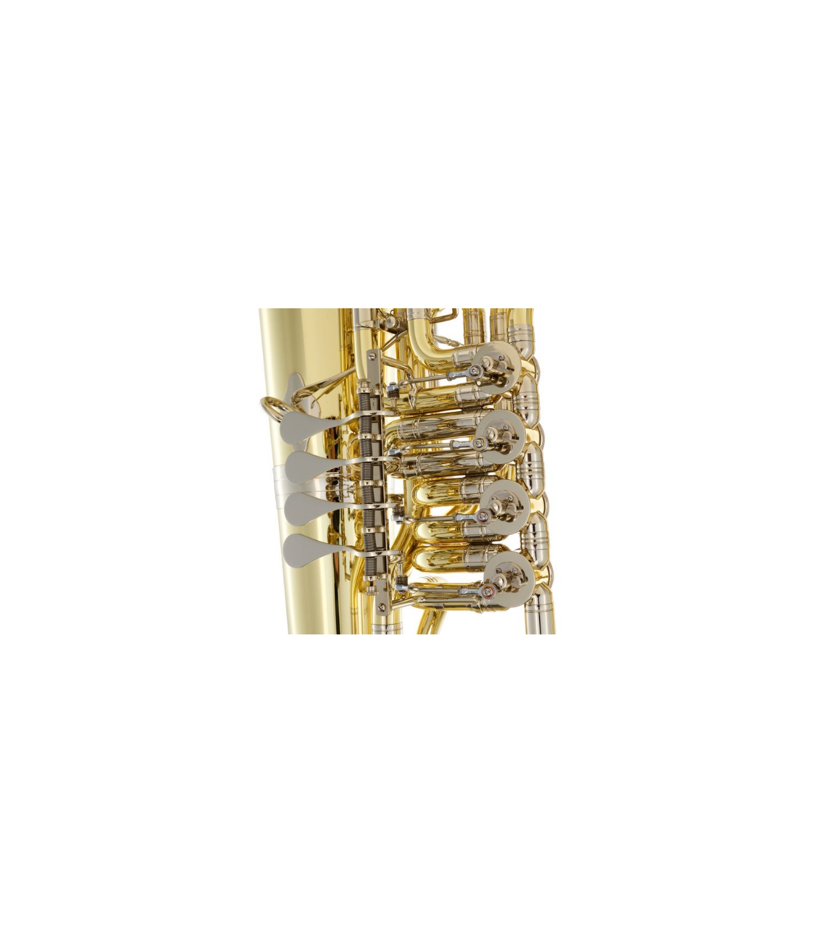 B&S 3099/2/W-L (PT-10) F-Tuba [6]