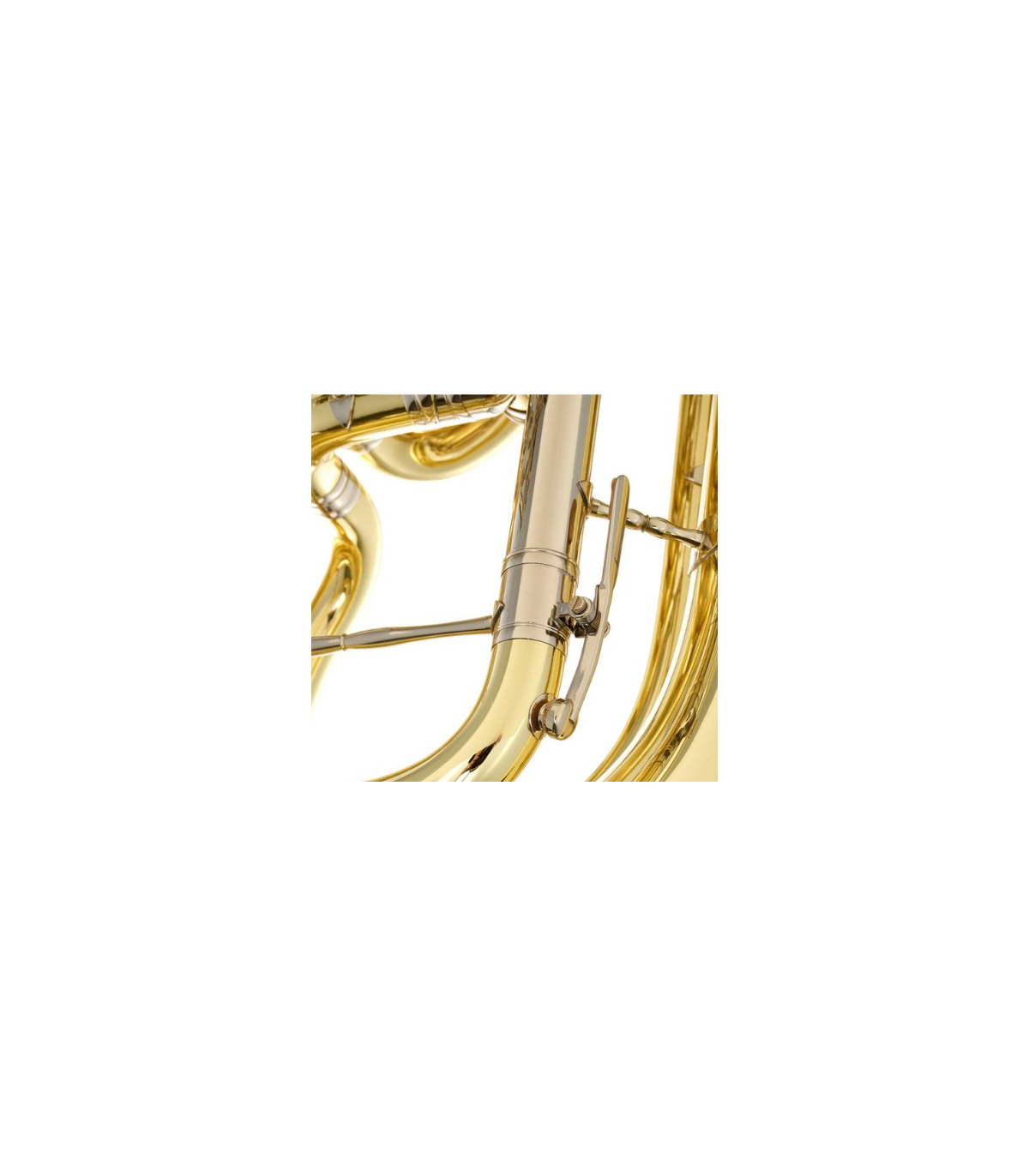 B&S 3099/2/W-L (PT-10) F-Tuba [7]