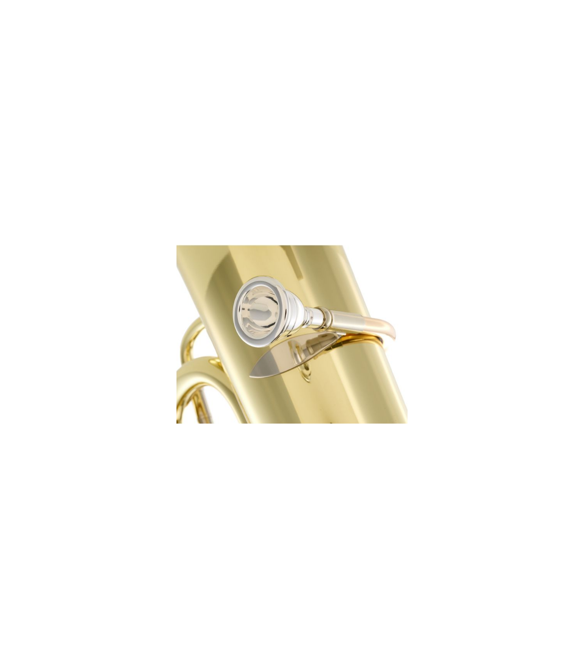 B&S 3099/2/W-L (PT-10) F-Tuba [8]