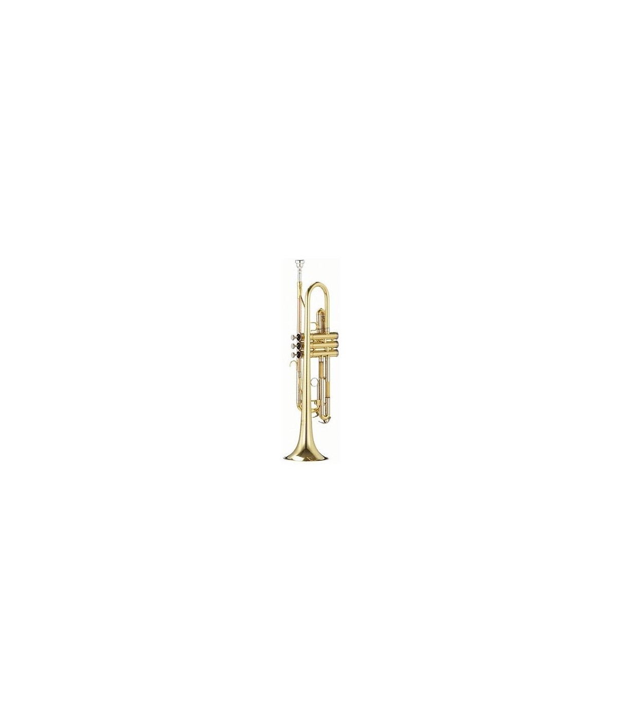 Magazin - Parrot 6416 L