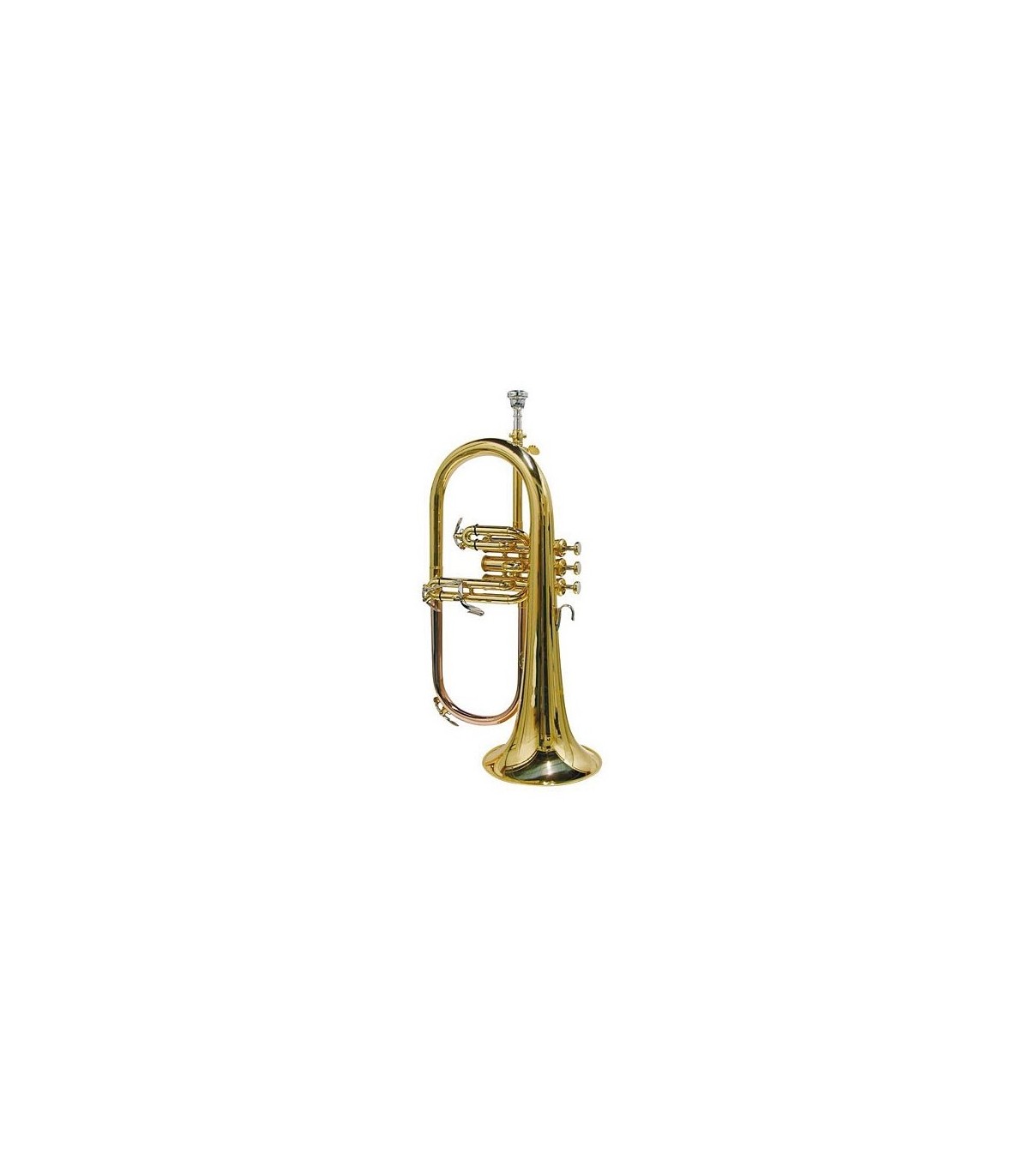 Magazin - Parrot JBFH 1100L Fligorn
