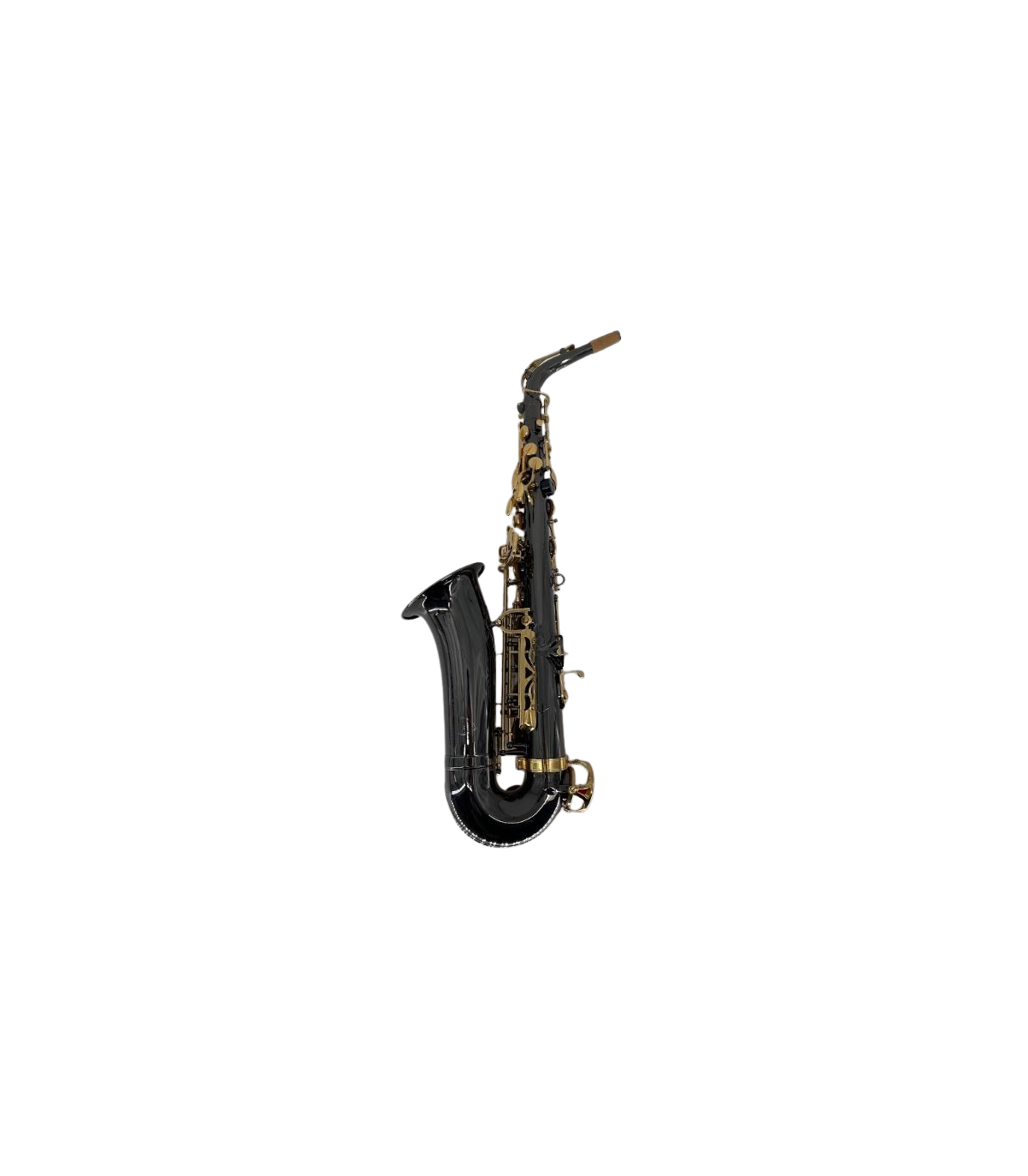 Parrot RT8332 BK Nickel [2]