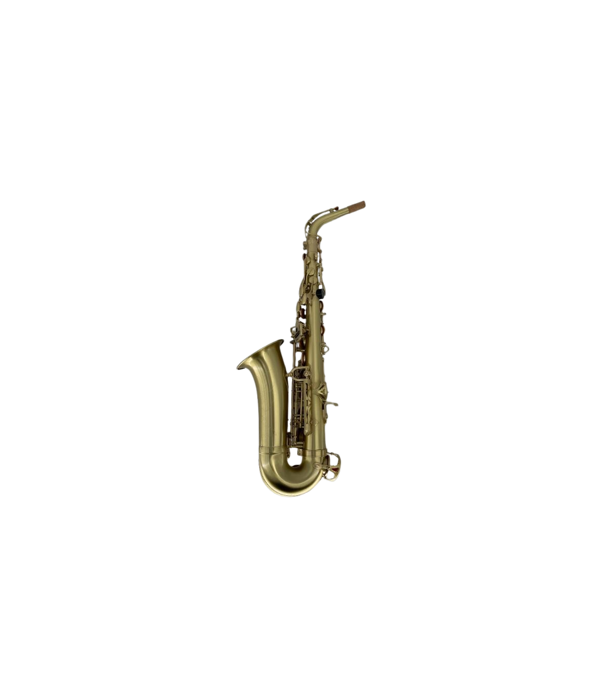 Parrot RT8331 [2]