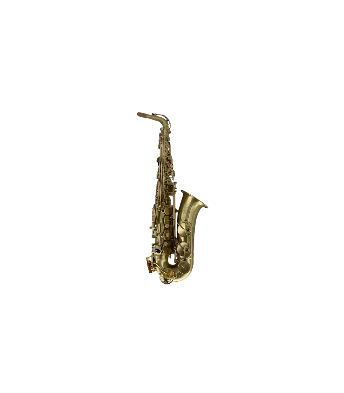 Saxofoane Alto - Parrot RT8331