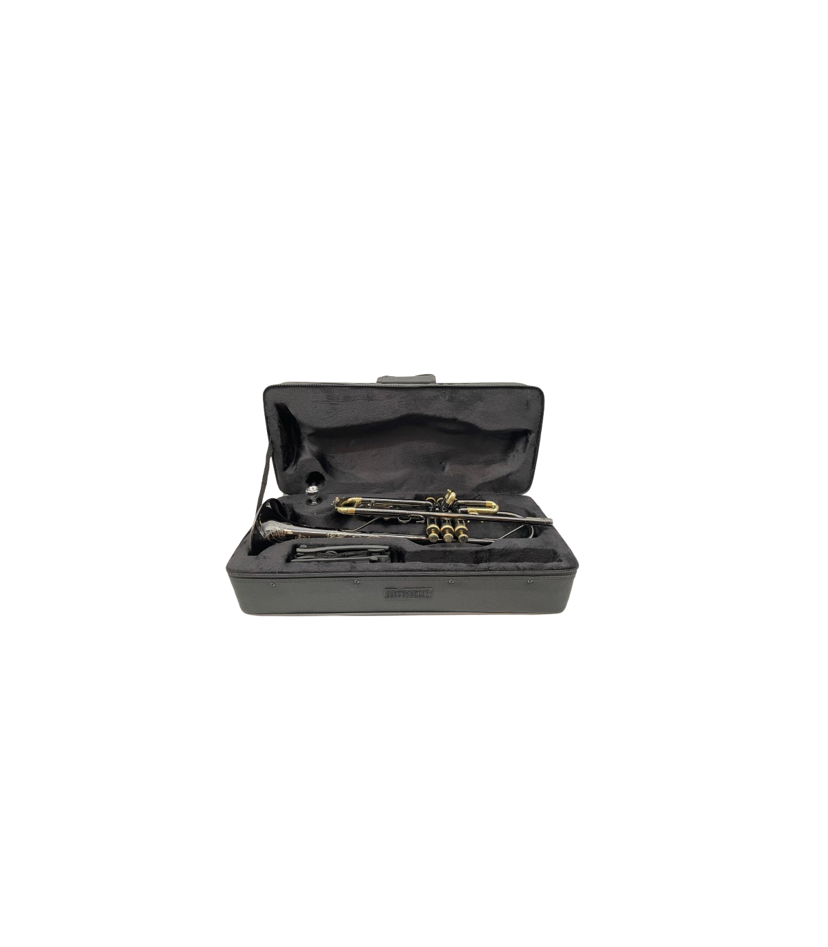 Parrot TR 01 BN [4]