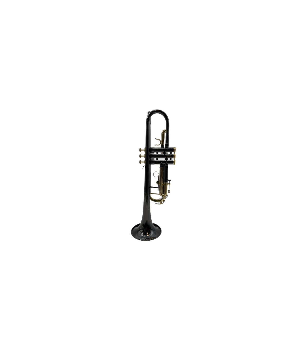 Parrot TR 01 BN [2]