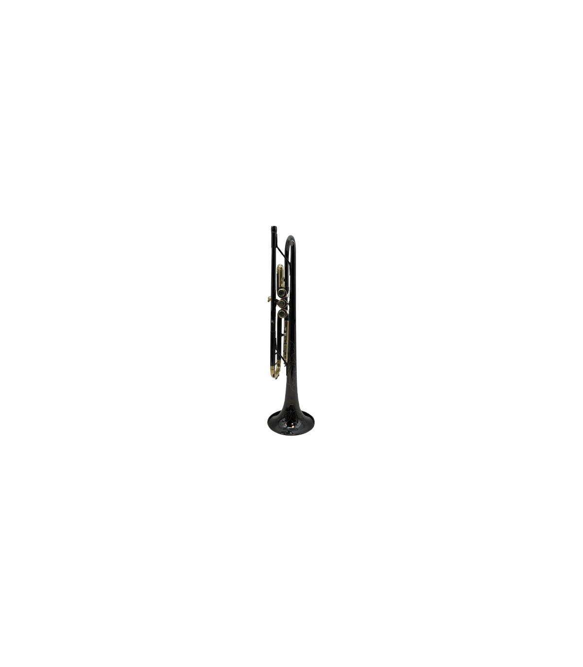 Parrot TR 01 BN [3]