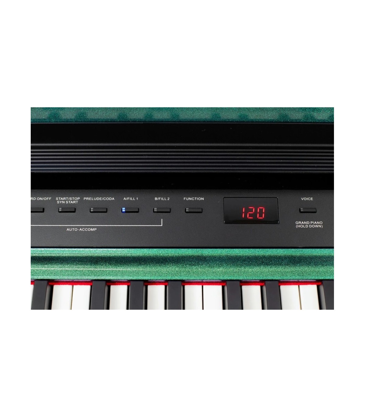 Pearl River P200 VD01 Green + 3 Pedal + U Stand [4]