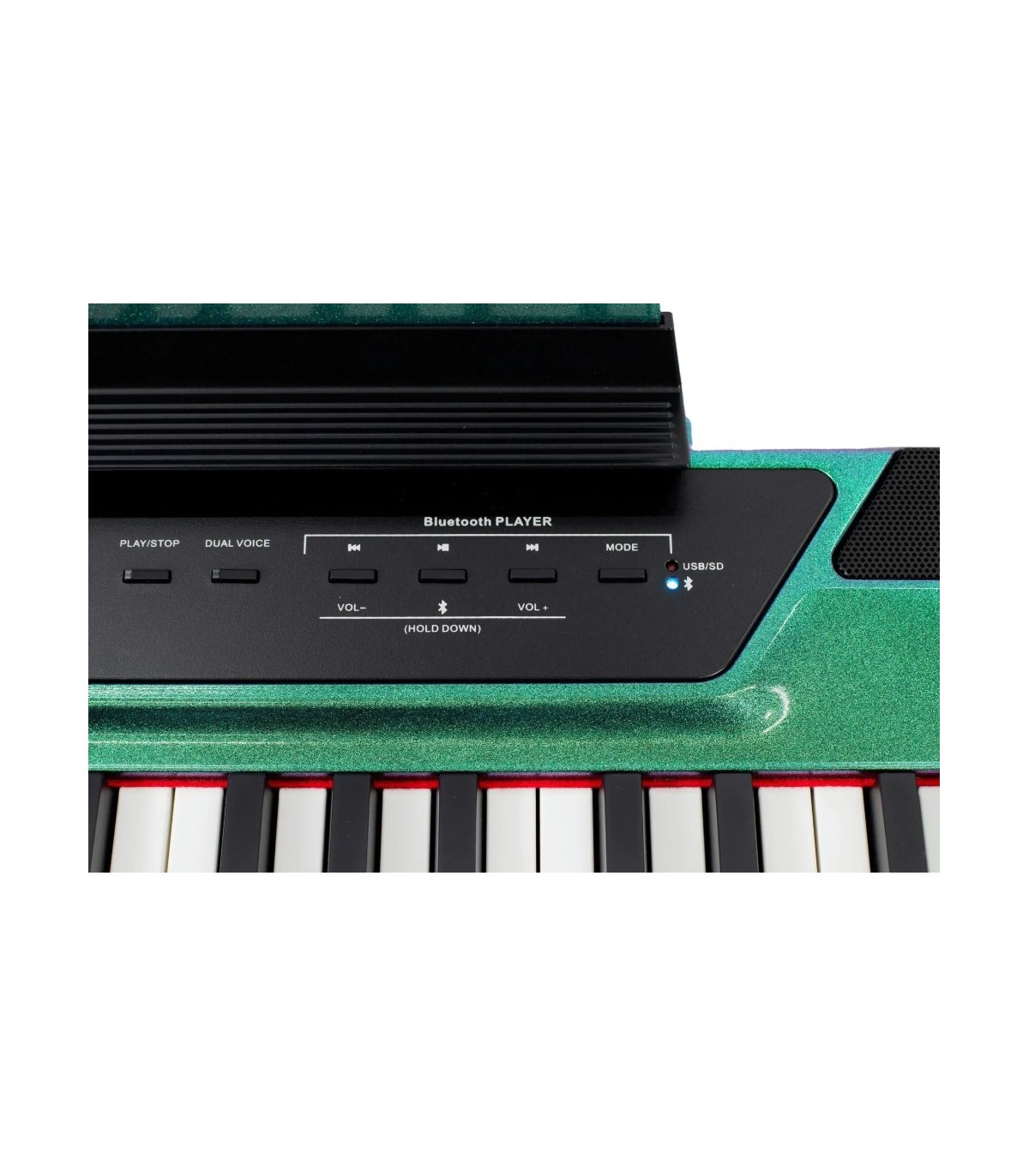 Pearl River P200 VD01 Green + 3 Pedal + U Stand [5]