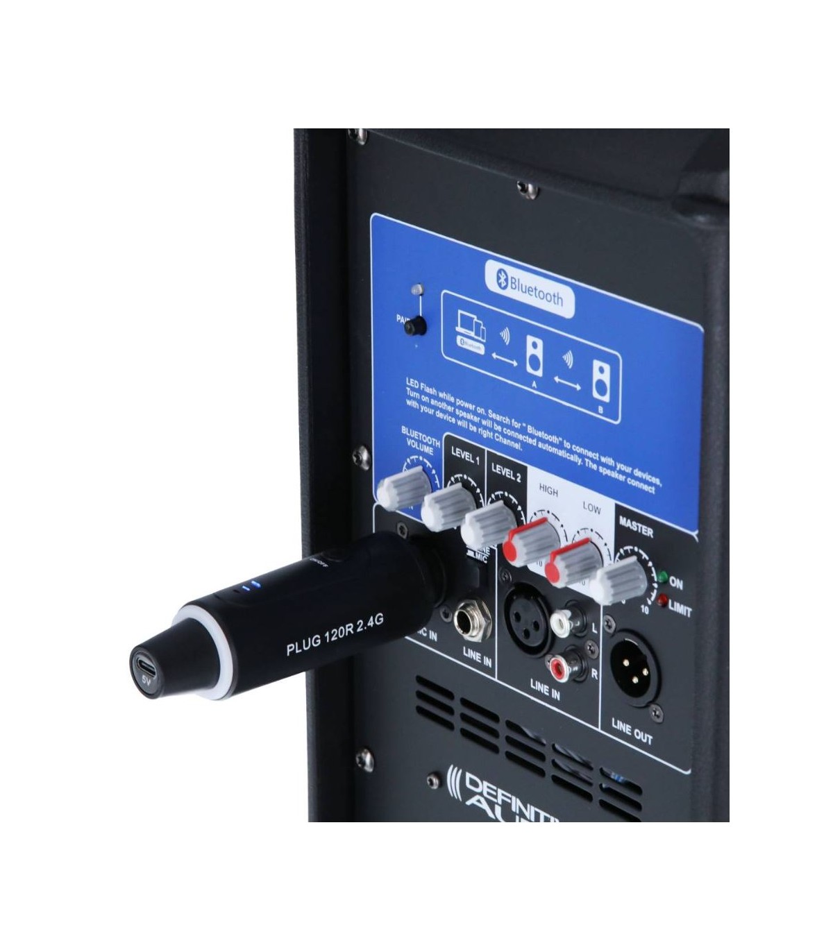 Definitive Audio Plug 120R 2.4G [10]