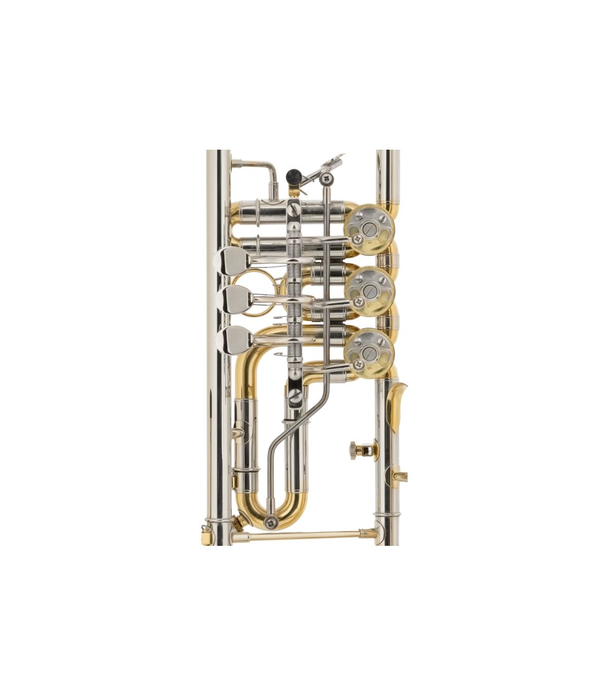 Classic Cantabile TR 43G [5]