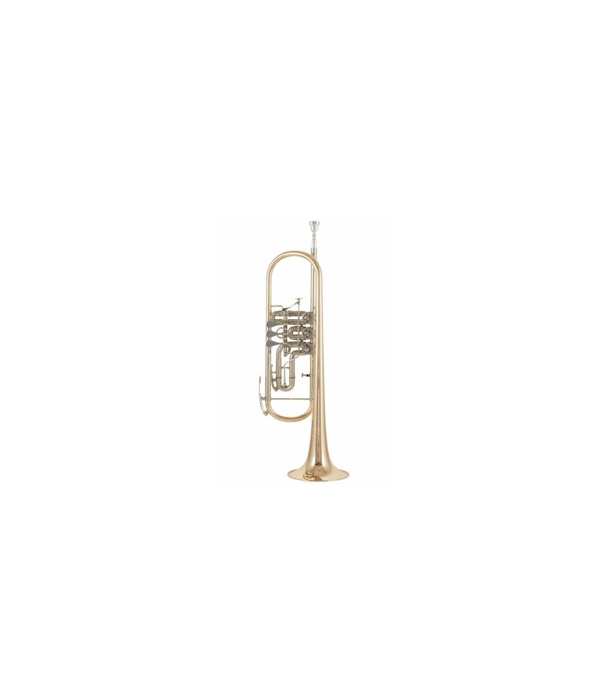 Instrumente de suflat - B&S 3005/3TR