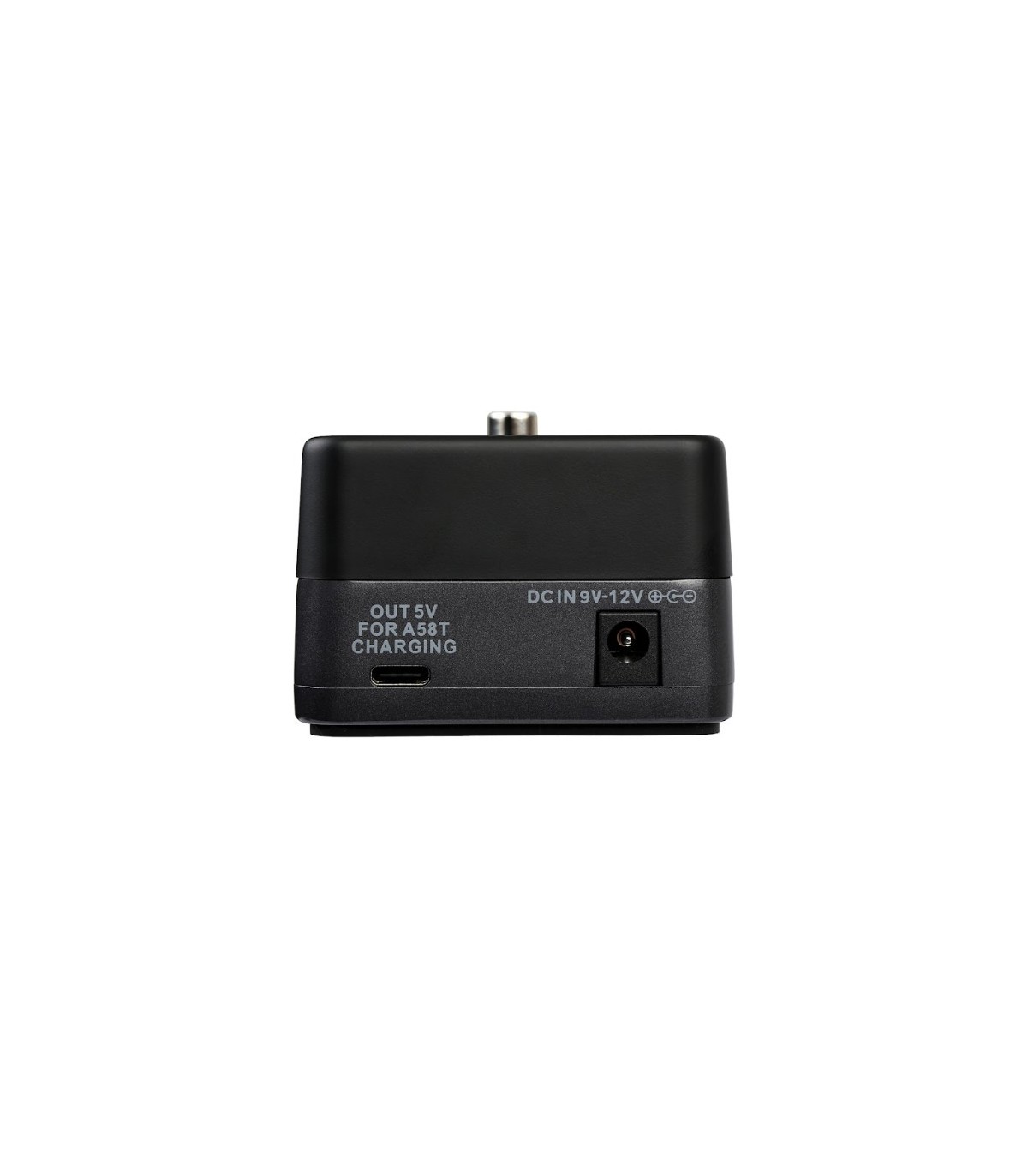 Xvive P58R [8]
