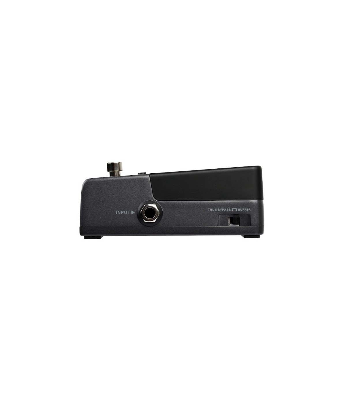 Xvive P58R [10]
