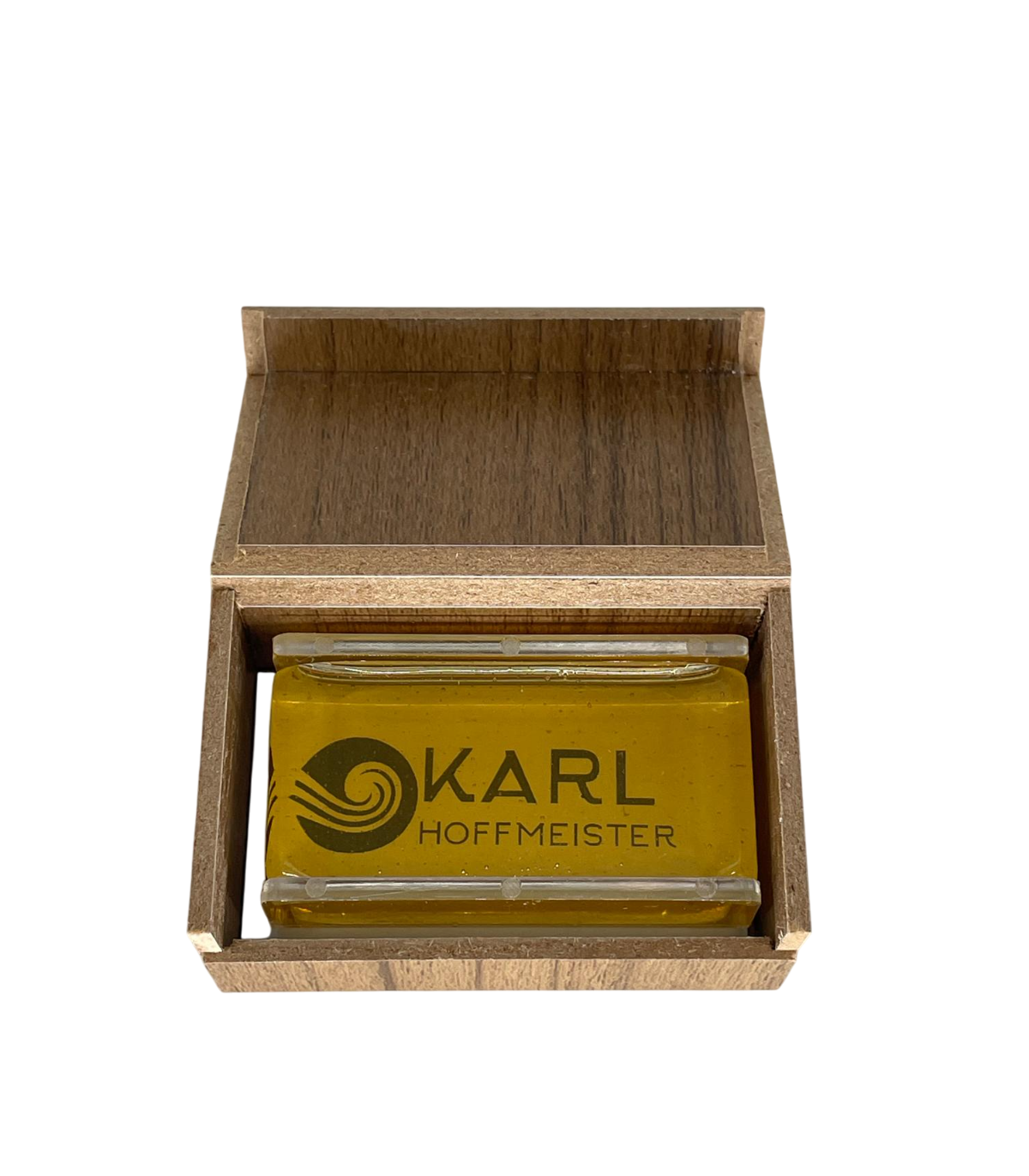 Karl Hoffmeister MVRS Sacaz Vioara [2]