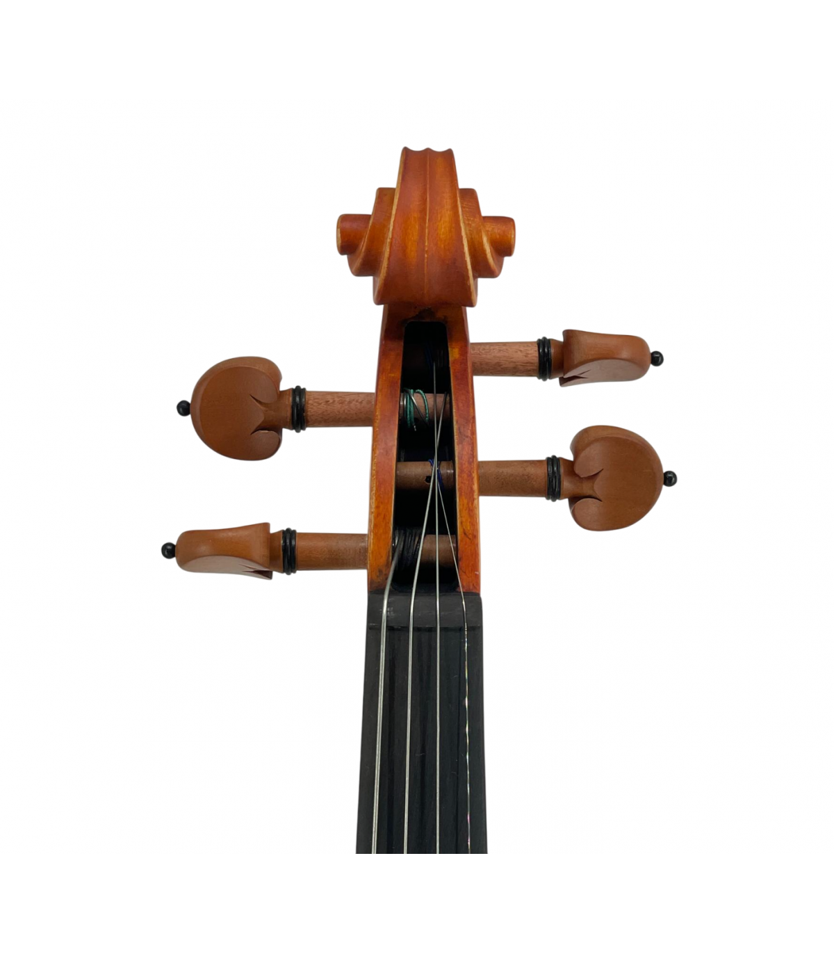 Karl Hoffmeister MV100 Vioara 3/4 Conservatory [5]