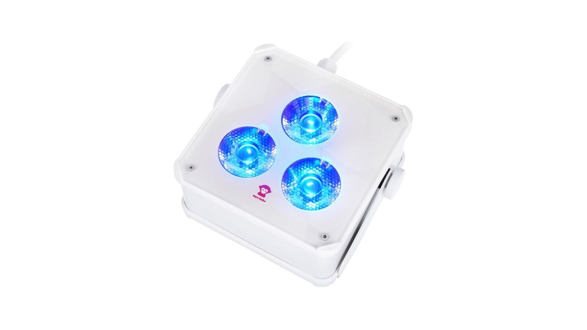 Ape Labs ApeLight maxi V2 (C) Single G [4]