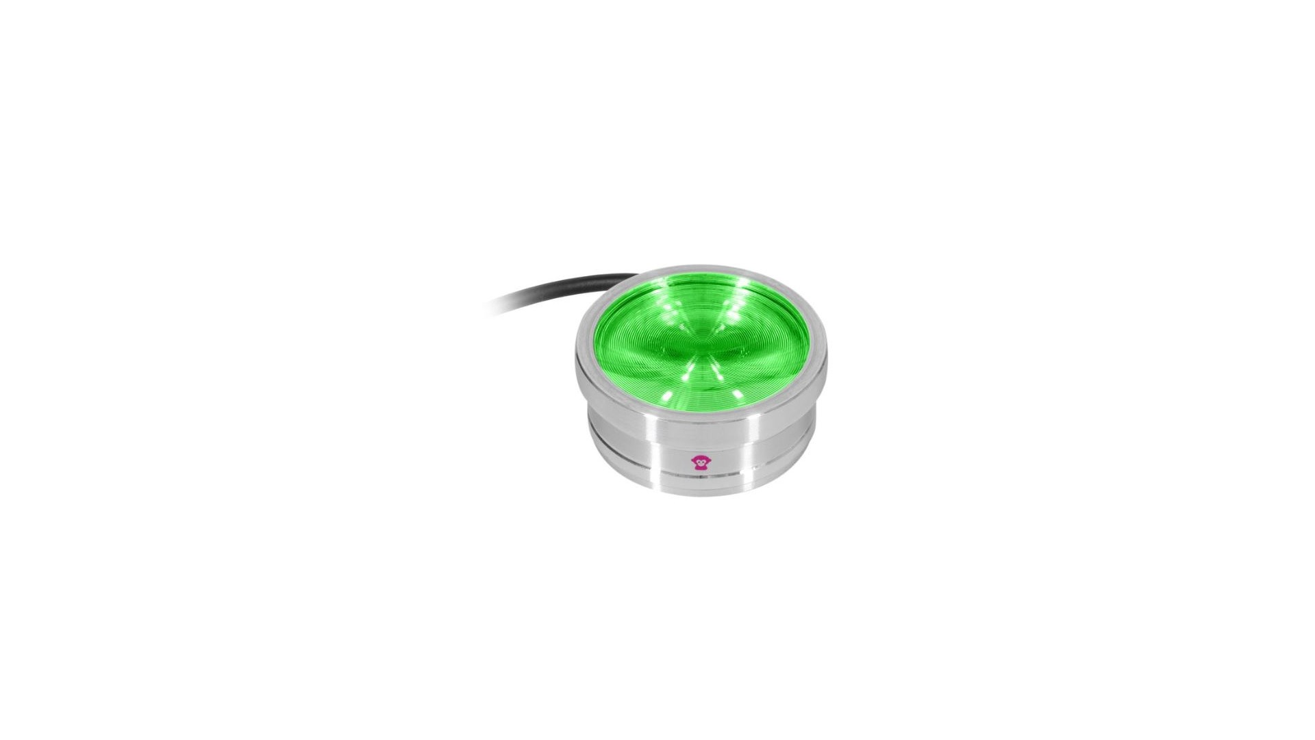 Ape Labs ApeCoin V2 IP [4]