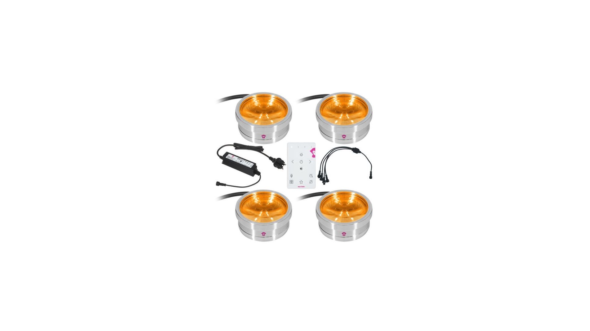 Ape Labs ApeCoin V2 IP Set of 4 [1]