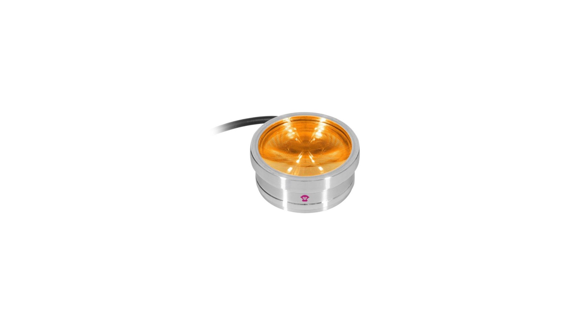 Ape Labs ApeCoin V2 IP Set of 4 [2]