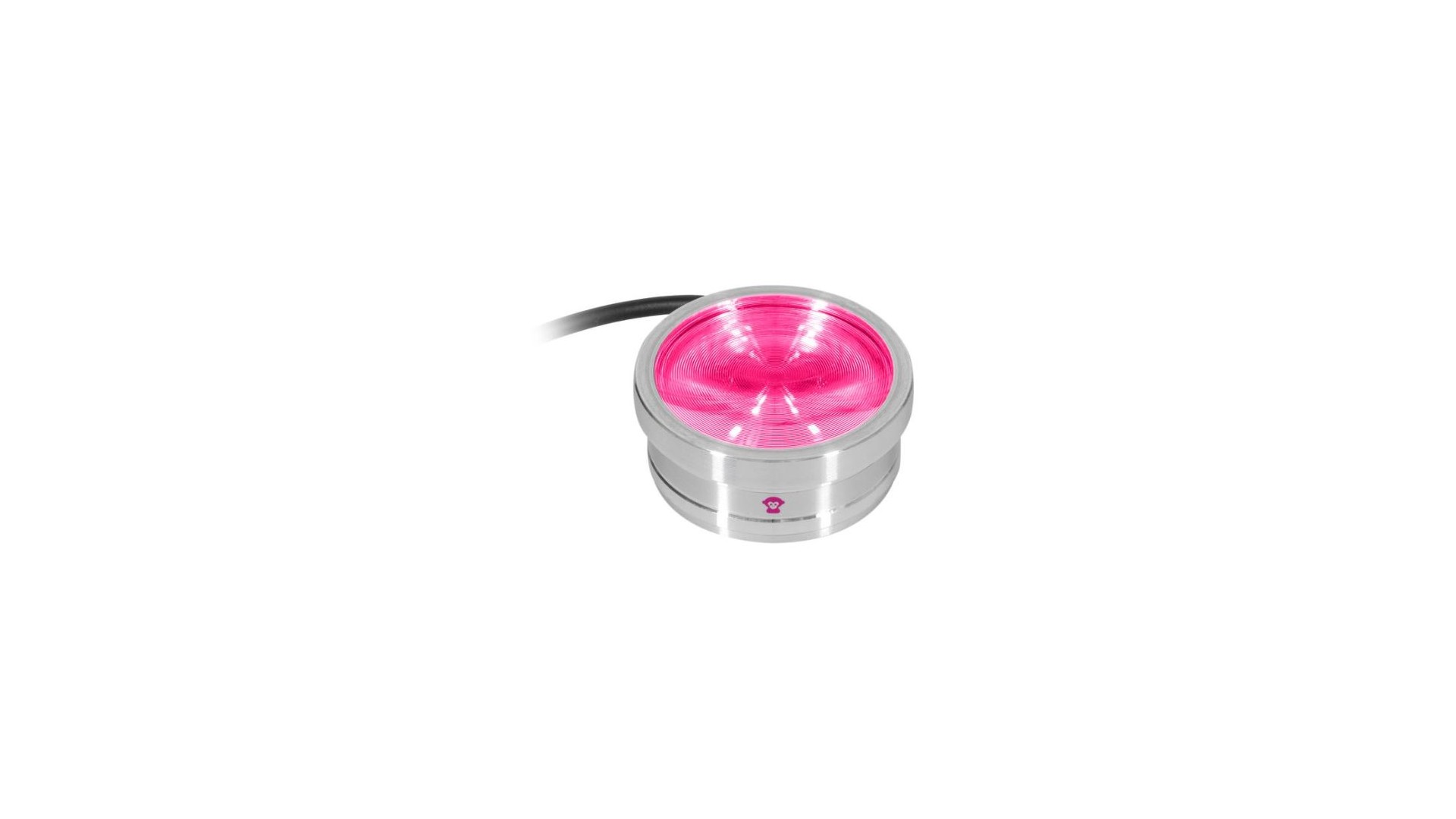 Ape Labs ApeCoin V2 IP Set of 4 [3]