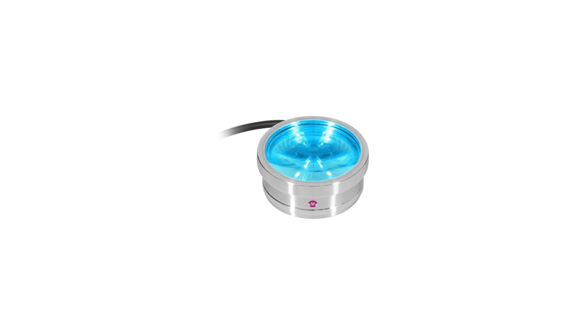 Ape Labs ApeCoin V2 IP Set of 4 [4]