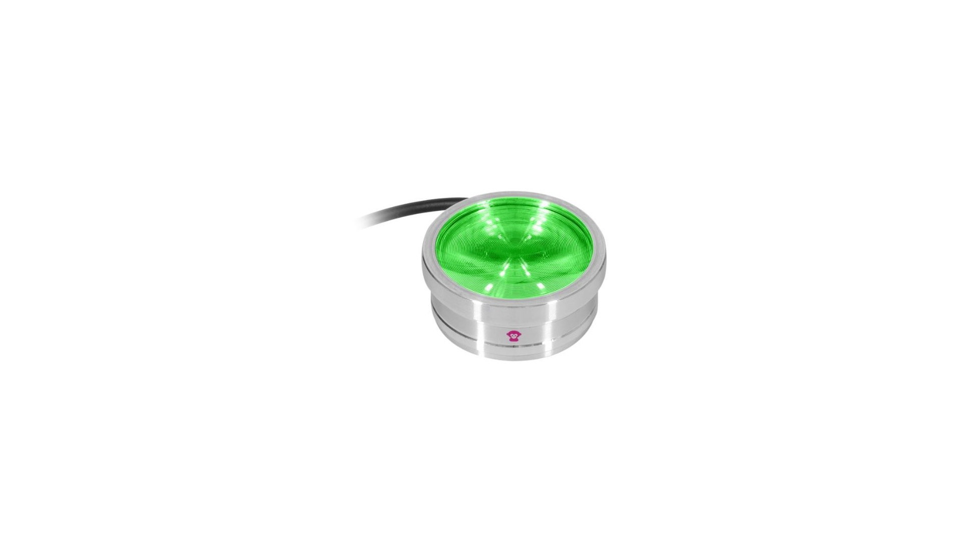 Ape Labs ApeCoin V2 IP Set of 4 [5]
