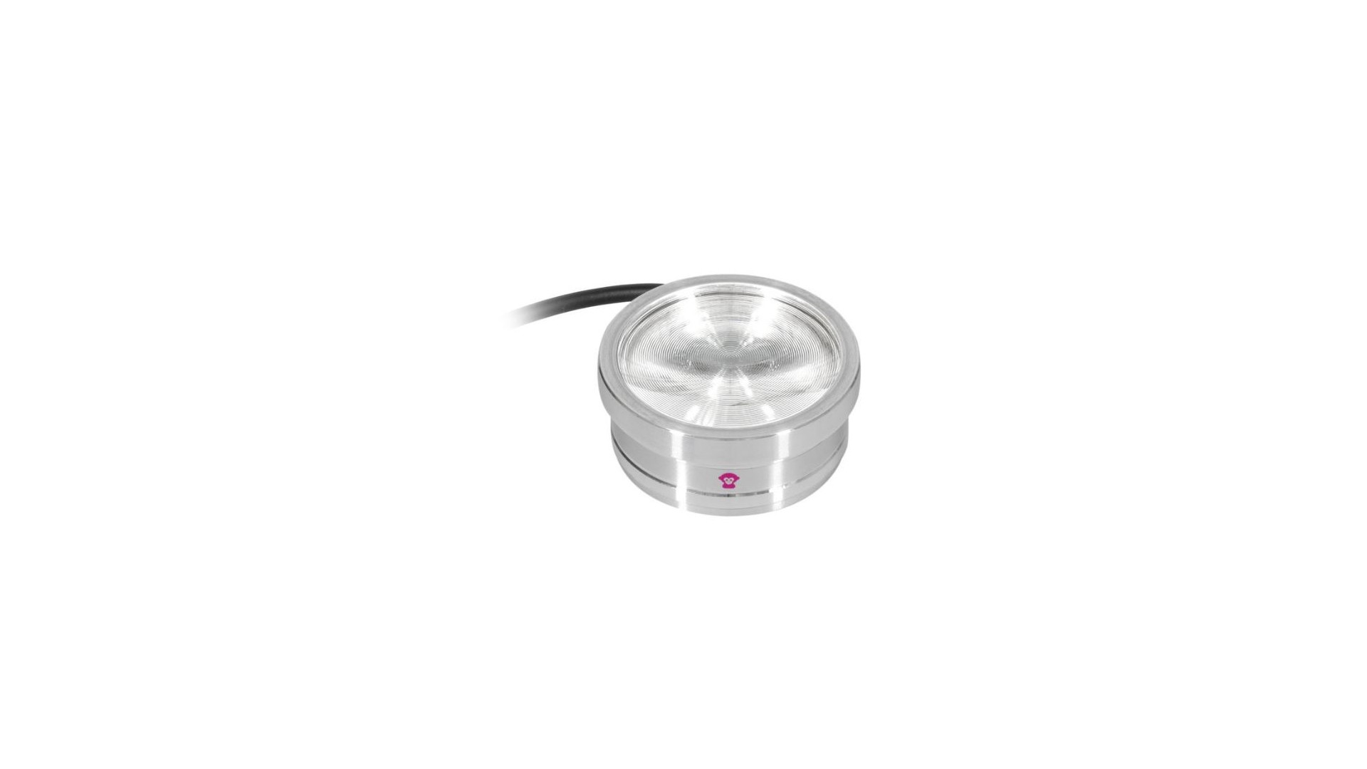 Ape Labs ApeCoin V2 IP Set of 4 [6]