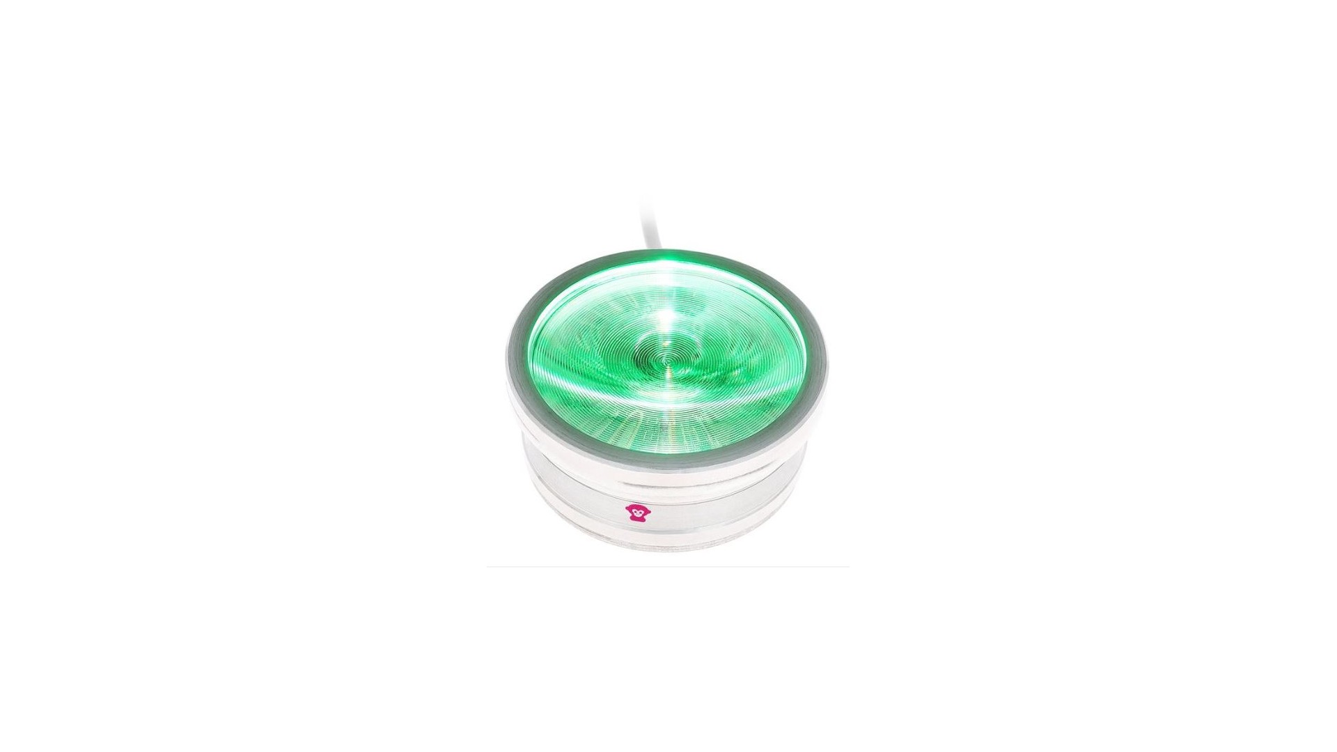 Ape Labs ApeCoin V2 USB Set of 2 [3]
