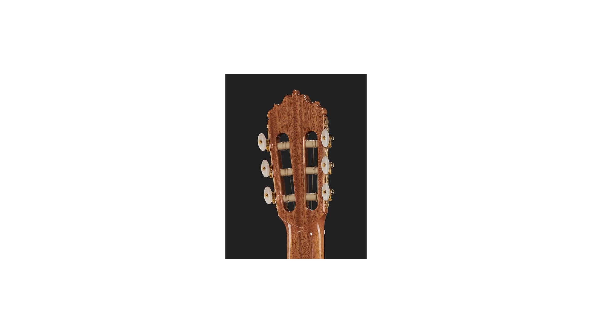 Alhambra 6 White Ebony [7]