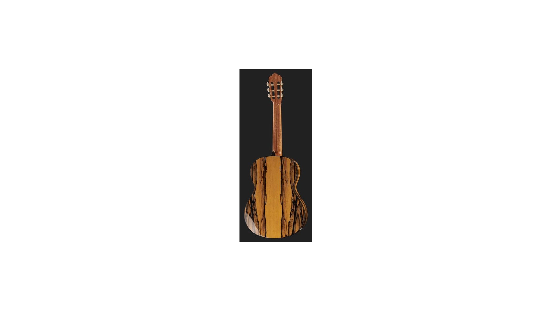 Alhambra 6 White Ebony [5]