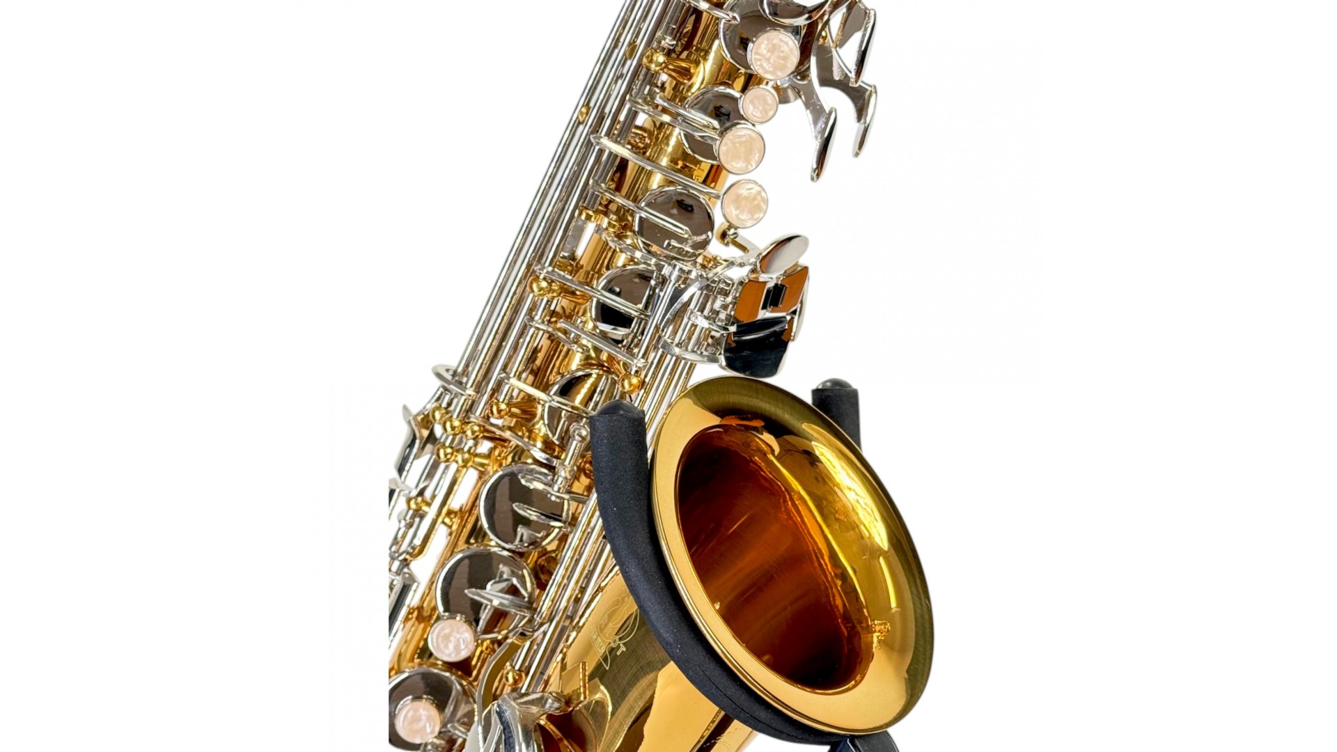 Parrot TY810 Two-Tone Sax Alto [3]
