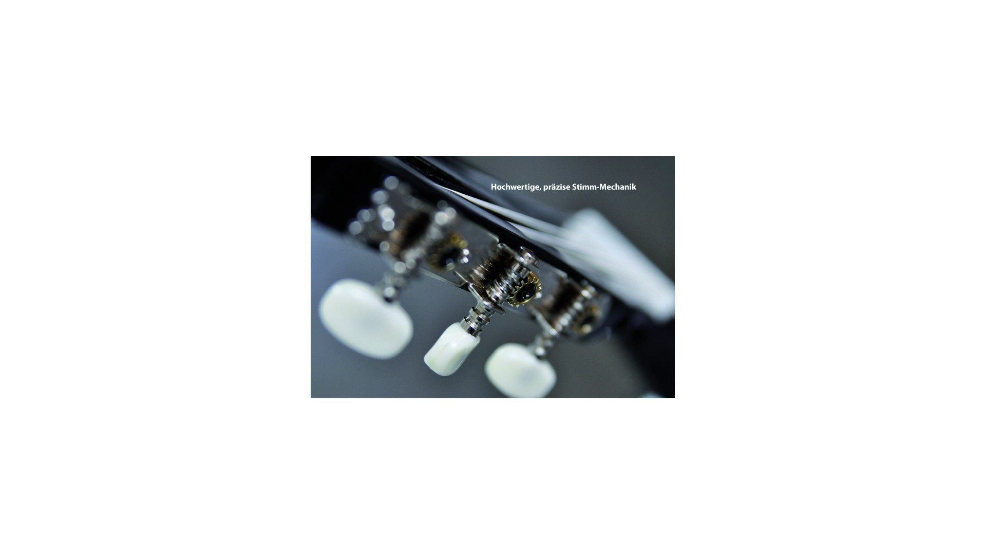 Clifton Valesca 39 4/4 Natural Tinted Set [6]