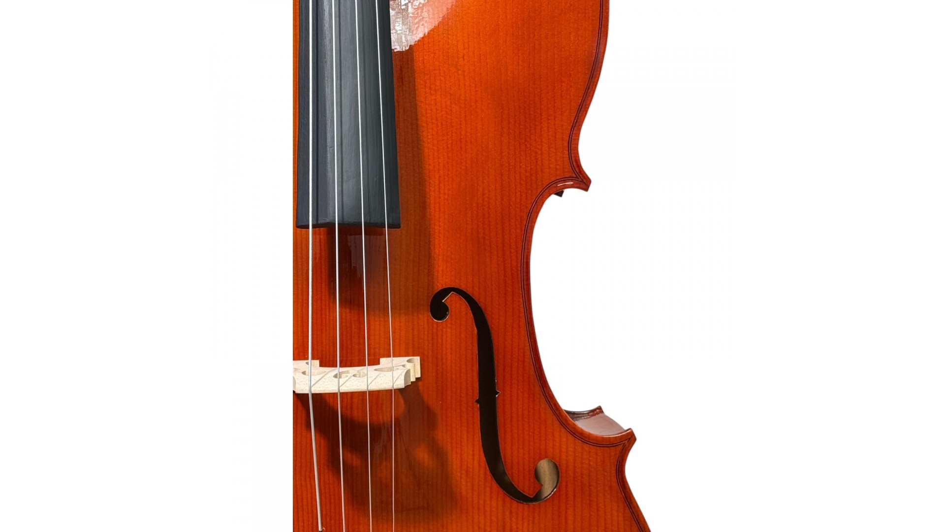 Flame 1443 4/4 Cello Set [5]