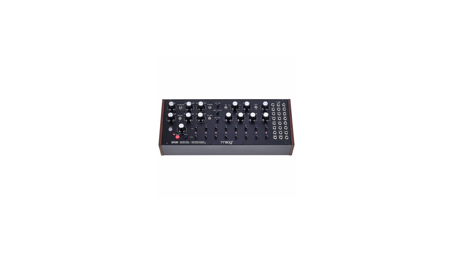 Moog DFAM [2]