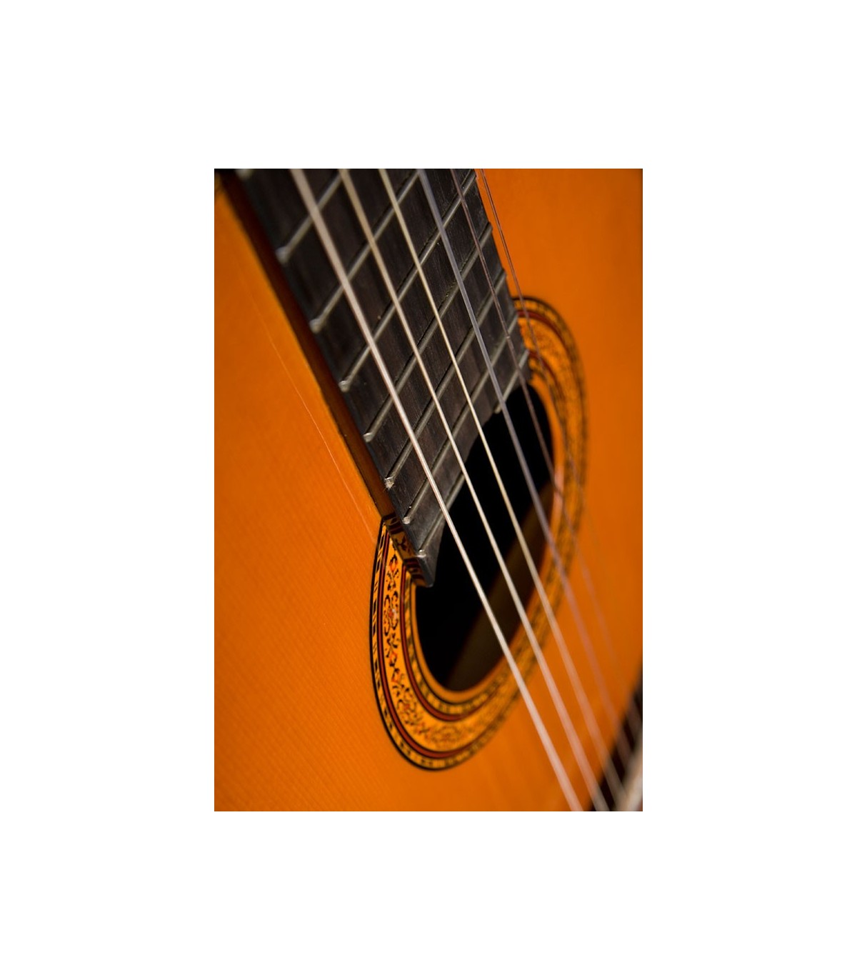 Washburn C5-WSH-A-U B-Stock [3]