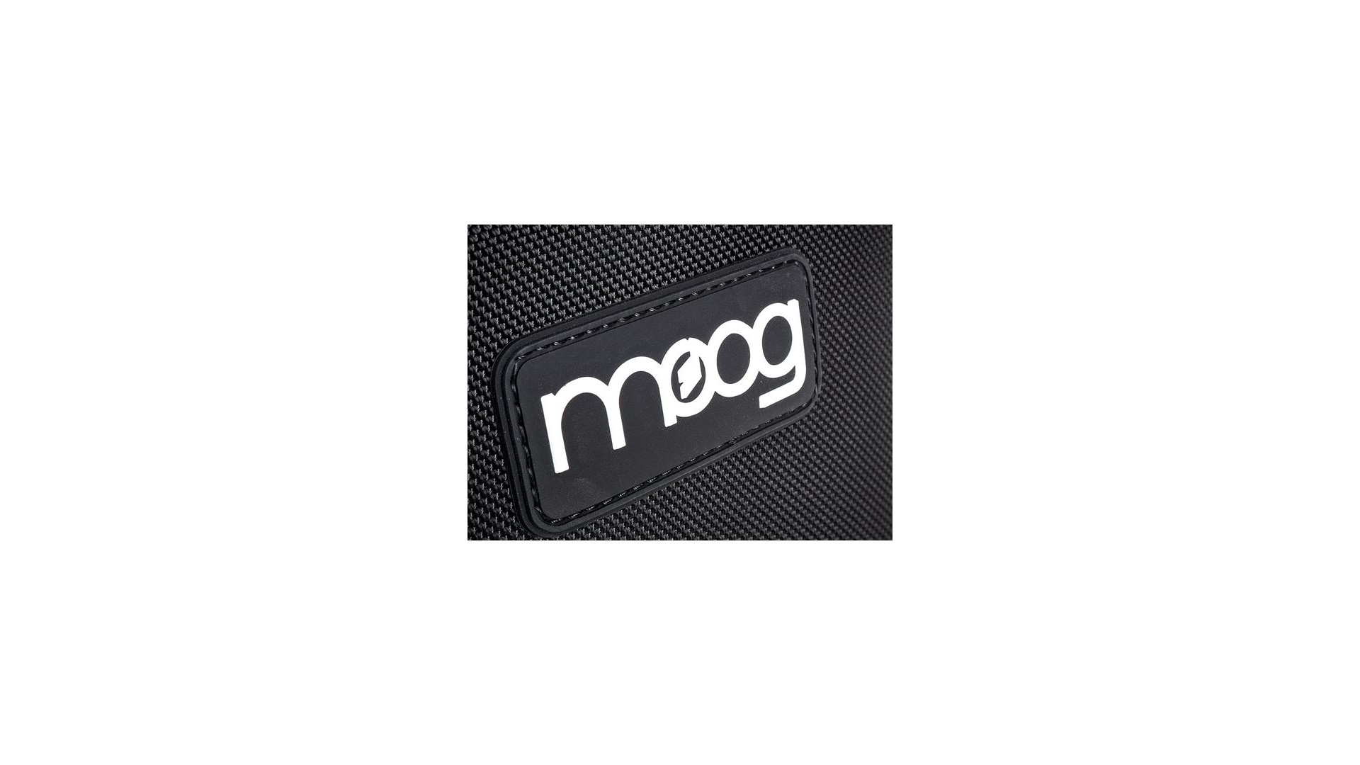 Moog Theremin SR Series Case [8]