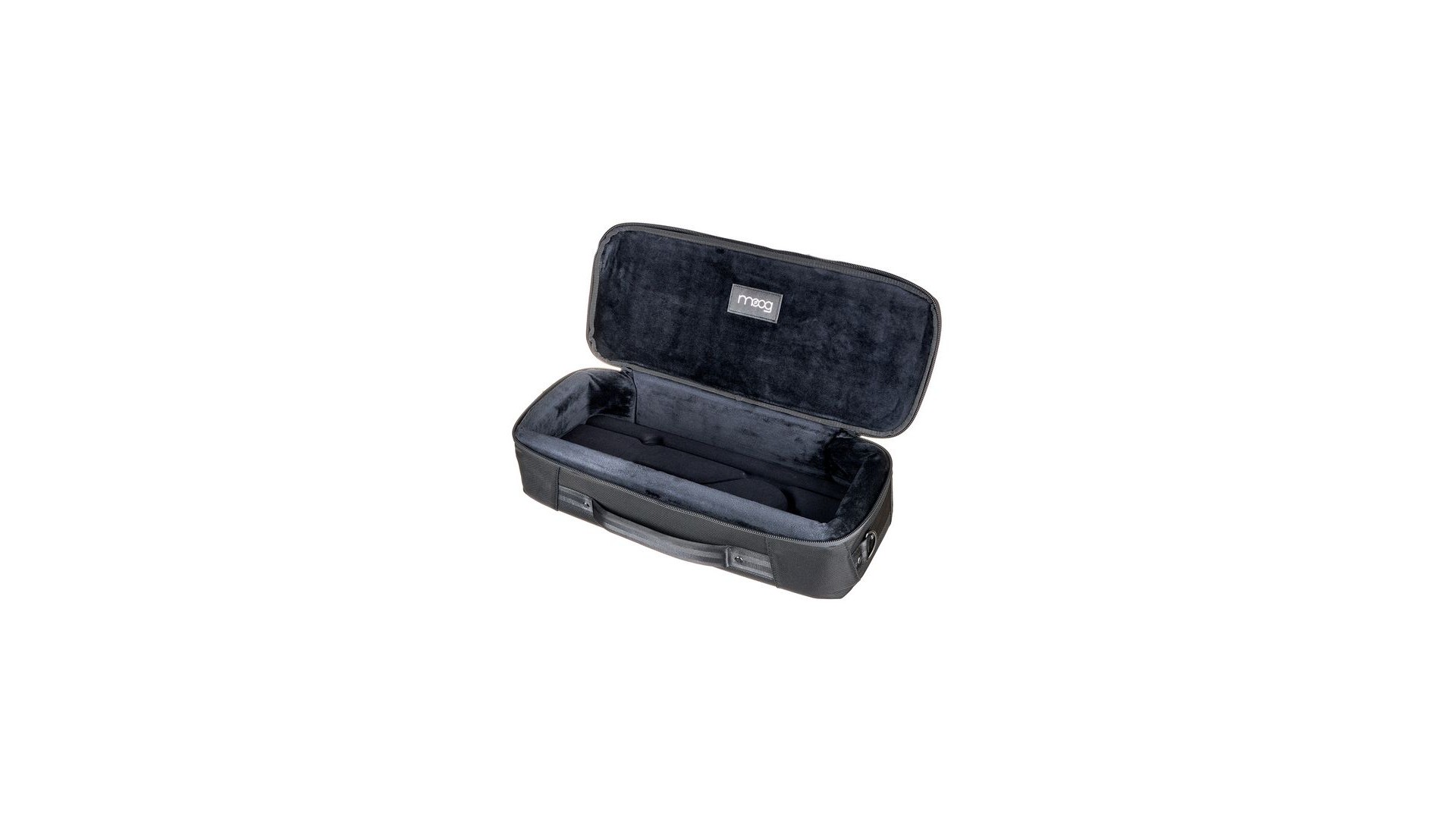 Moog Theremin SR Series Case [6]