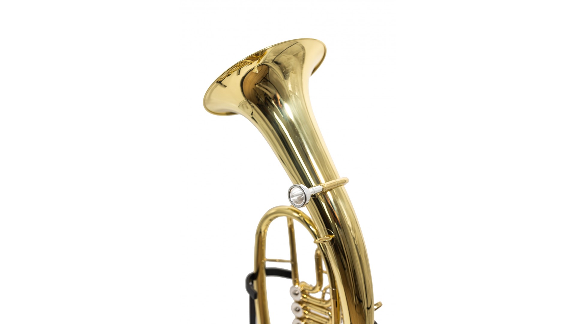 Parrot 6451 L Baritone [7]